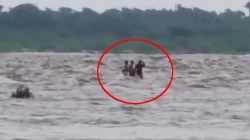 कोटा में भारी बारिश से बिगड़े हालात; चंबल नदी में उफान, बह गए 6 लोग, एक टापू पर
फंसा, युवती स्कूटी सहित बही, मौत - image