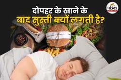 Feeling Sleepy After Lunch: दोपहर का खाना बना रहा है आपको सुस्त? इन 5 चीजों से
करें परहेज - image