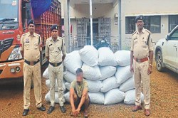 फलों से भरे ट्रक की पुलिस ने ली तलाशी, तिरपाल हटाते ही जो दिखा.. उड़ गए होश - image