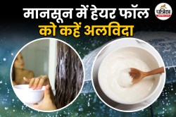 Curd On Hair: अगर बारिश में बालों के झड़ने से हैं परेशान, तो लगाएं दही से बना
हेयर मास्क - image