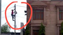 सांसद बेनीवाल के घर का बिजली कनेक्शन काटा, देखिए वीडियो - image