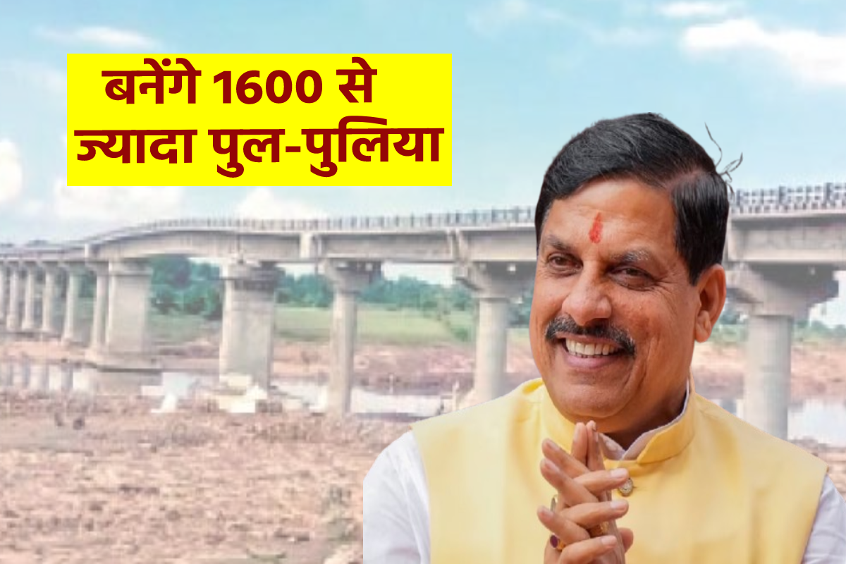 MP News More than 1600 bridges will be built in MP