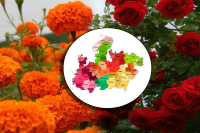 Madhya Pradesh becomes third largest flower producing state in country