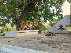 नर्मदा के इस तट पर दूर होता है काल सर्प दोष, नागपंचमी पर हो रही विशेष पूजा - image