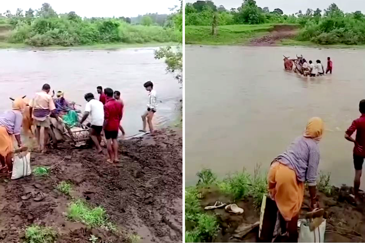 गर्भवती महिला को बैलगाड़ी में लिटाकर पार कराई नदी, वीडियो जमकर वायरल