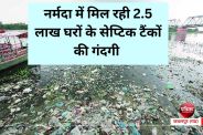 Dirty Narmada