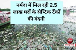 NGT की रिपोर्ट में खुलासा: नर्मदा में मिल रही 2.5 लाख घरों के सेप्टिक टैंकों की
गंदगी - image