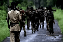 बालाघाट के जंगल में पुलिस और नक्सलियों के बीच मुठभेड़, युद्ध स्तर पर सर्चिंग शुरु - image