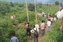 Alwar News: करंट की चपेट में आने से 6 भैंसों की मौत, ग्रामीणों का फूटा गुस्सा  - image