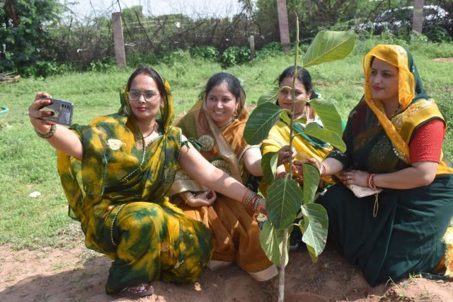 हरयाळो राजस्थान अभियान 