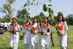 हरियाली अमावस्या पर सर्वार्थ सिद्धि योग में किया पौधरोपण, मेला मैदान को ऑक्सीजोन
बनाने का दोहराया संकल्प, देखिए तस्वीरें - image