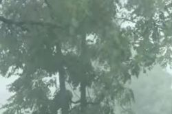 UP Rains: यूपी में फिर लौटा मानसून, 26, 27 28, 29, 30, 31 इन जिलों में भारी
बारिश IMD latest update - image