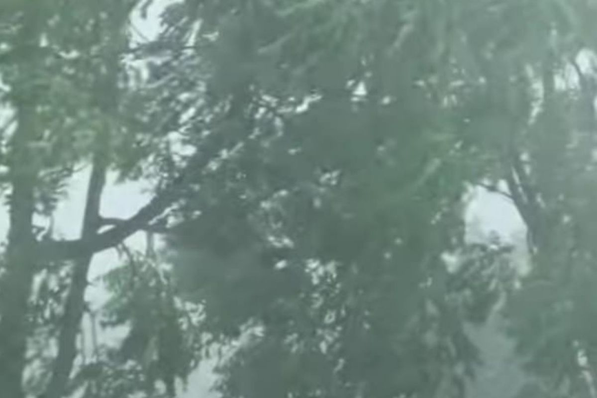 UP Rains: यूपी में मानसून सक्रिय इन जिलों में तीन दिन नॉनस्टॉप बहुत भारी बारिश,
IMD ऑरेंज अलर्ट