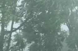 UP Rains: यूपी में मानसून सक्रिय इन जिलों में तीन दिन नॉनस्टॉप बहुत भारी बारिश,
IMD ऑरेंज अलर्ट - image