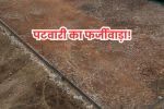 mp news