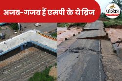 गुजरात ही नहीं…एमपी में भी हैं अजब-गजब पुल, जानें कितनी है संख्या - image
