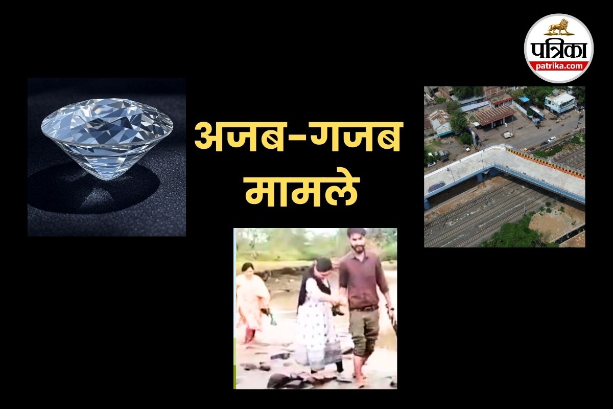 mp news