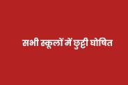 mp news