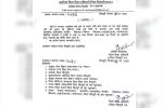mp news