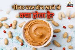 Eating Peanut Butter: डेली पीनट बटर खाना सेहतमंद है या नुकसानदायक? जानिए इसके
फायदे और जोखिम - image