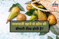 Pear Benefits: मानसून में नाशपाती खाने से सिर्फ इम्यून सिस्टम ही मजबूत नहीं
होता, बल्कि और भी मिलते हैं कई फायदे - image