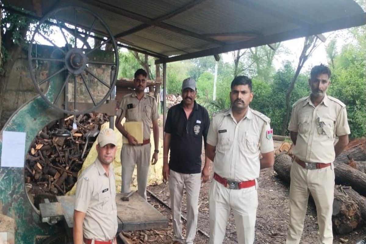 VIDEO: राजगढ़ में अवैध आरा मशीनों पर वन विभाग की बड़ी कार्रवाई, एक ही दिन में 5
मशीनें सीज