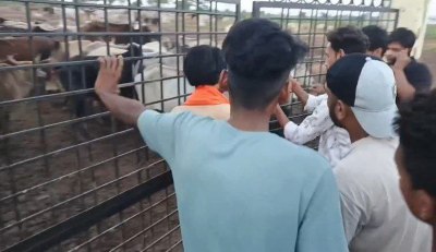 Short video poster image