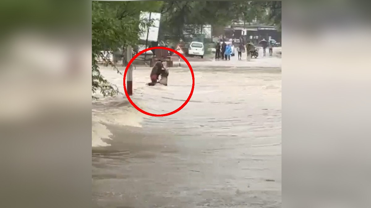 तेज बहाव में बहे लड़का-लड़की… डेढ़ घंटे तक पकड़े रहे पेड़ की डाल, तब बची जान,
देखें वीडियो