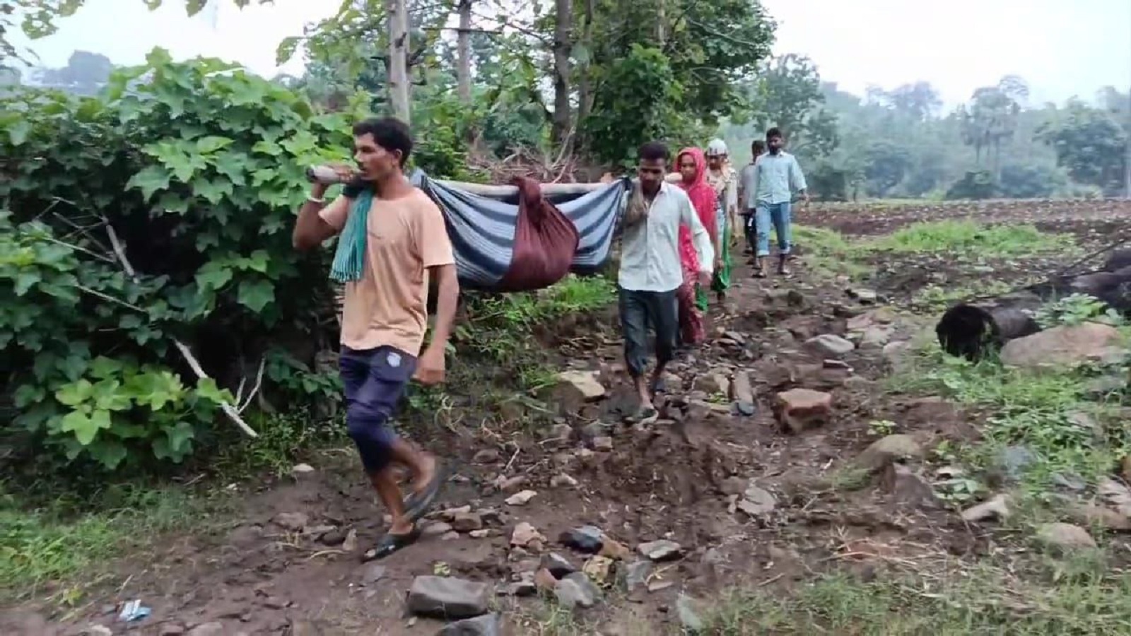 छोटा उदेपुर : प्रसूता महिला को झोली में उठाकर 4 किमी दूर तक ले जाना पड़ा