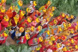 खोहरा मलावली में महिलाओं ने निकाली कलश यात्रा, श्रीमद्भागवत कथा का हुआ शुभारंभ - image