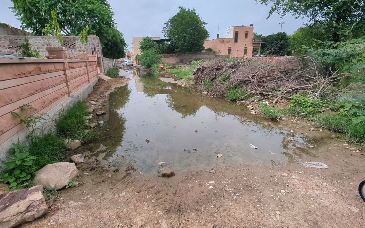 Nagaur patrika…जरा सी बारिश में जलभराव, बच्चों को स्कूल जाने में परेशानी, हादसे
आम, जिम्मेदार बेपरवाह…VIDEO