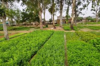 Photo: Patrika Network