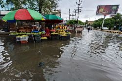 अलवर में तेज बारिश से जनजीवन प्रभावित, कई इलाकों में भरा पानी  - image