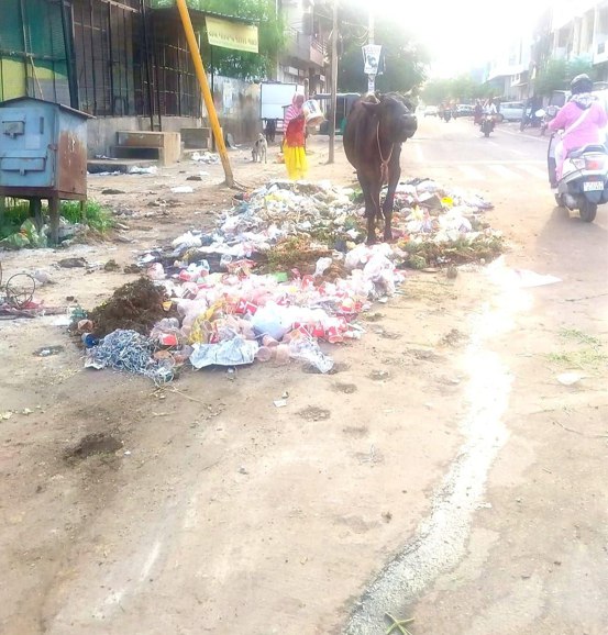 शहर में कचरे गंदगी के ढेर, पत्रिका फोटो