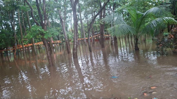 CG News: रायपुर कई इलाकों में जलभराव, सड़क पर उतरे आक्रोशित लोग, देखें तस्वीरें
