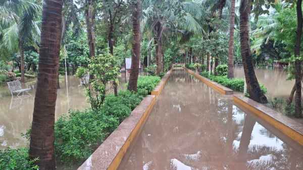 CG News: रायपुर कई इलाकों में जलभराव, सड़क पर उतरे आक्रोशित लोग, देखें तस्वीरें
