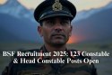 BSF Recruitment 2025: 123 Constable & Head Constable Posts Open