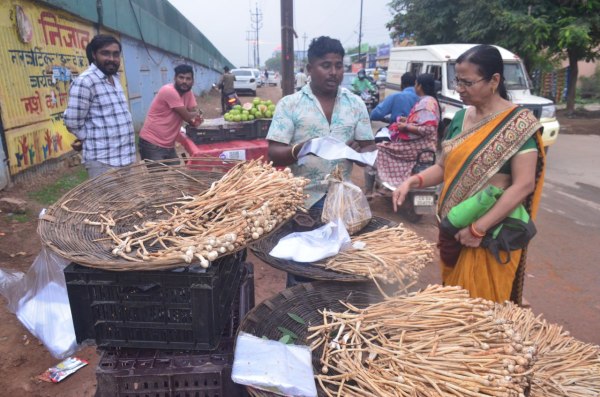Raipur News: रायपुर के बाजार आया सबसे महंगा सब्जी, 1000  रुपये प्रति किलो है कीमत, देखें तस्वीरें 
