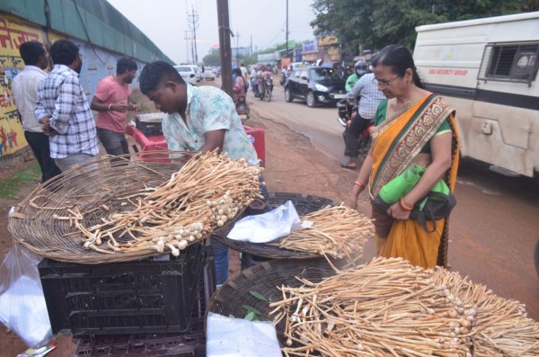 Raipur News: रायपुर के बाजार आया सबसे महंगा सब्जी, 1000  रुपये प्रति किलो है कीमत, देखें तस्वीरें 
