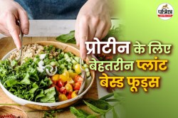 Plant Based Food: अंडा-मीट नहीं खा सकते? ये 6 प्लांट-बेस्ड फूड्स देंगे जबरदस्त
प्रोटीन और एनर्जी - image