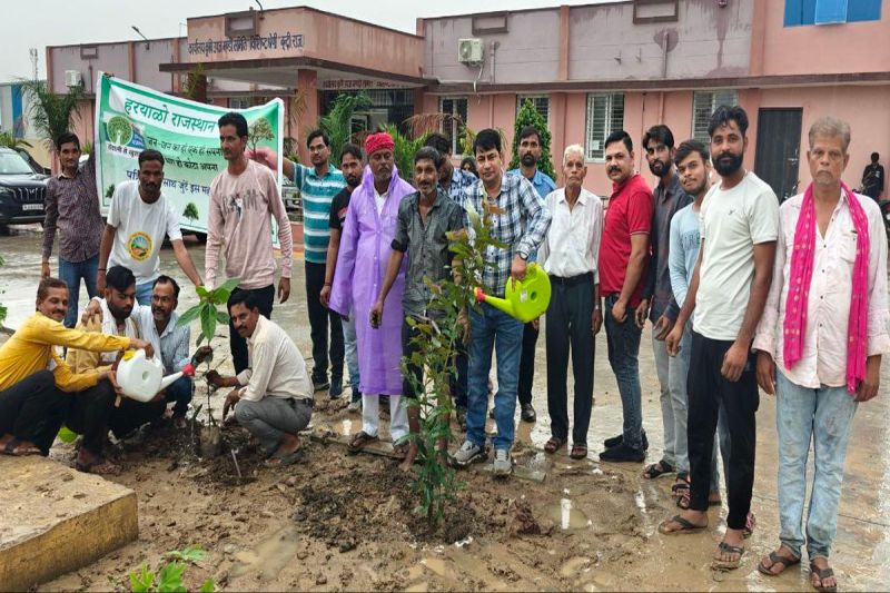 वृक्ष ही सुरक्षा कवच, इनसे ही धरती का पर्यावरण होगा संतुलित