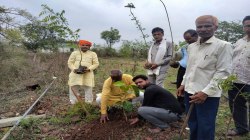 पूर्व सरपंच ने कुछ पौधे लगाकर कोर्ट में फोटो किए पेश, जज ने कहा पौधे कम हैं, 105
लगाकर ऐप पर करें अपलोड - image