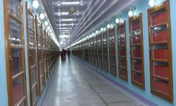 रेत में रचा ज्ञान का धाम…. भादरिया महाराज ने शुरू की थी पहल, बना एशिया के बड़े
पुस्तकालयों में एक - image