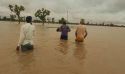 तेज बारिश से ढाणियां जलमग्न… खड़ीन लबालब, टूटने का खतरा बढ़ा - image