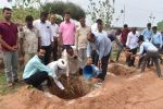 Plantation
