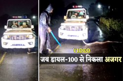 पुलिस के भी उड़ गए होश जब डायल-100 से निकलकर बाहर आया 12 फीट लंबा अजगर - image