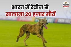 Stray Dog Crisis: भारत में Dog Bites के सालाना 22 लाख मामले, नीदरलैंड की इन
सीखों पर चलकर 2030 तक Rabies Free होगा इंडिया - image
