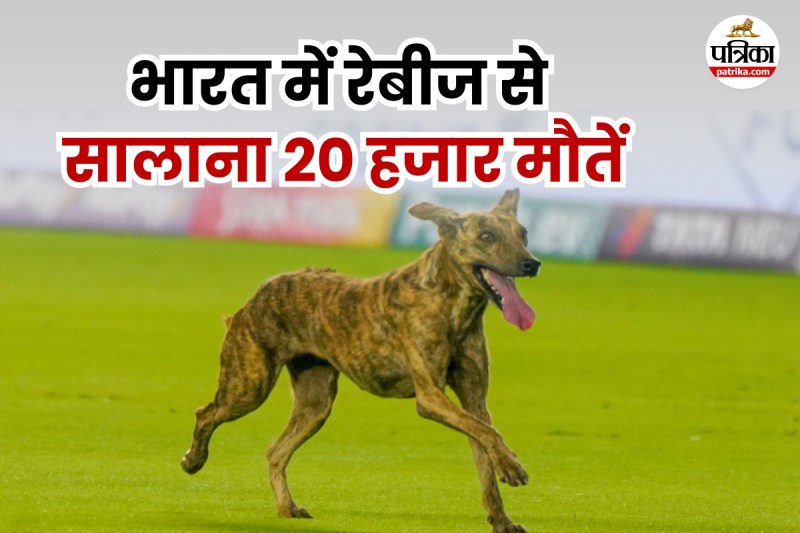 Rabies death in India