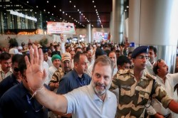 Rahul Gandhi Bail : सेना पर बयान को लेकर कोर्ट में पेश हुए राहुल गांधी, लखनऊ
कोर्ट से मिली जमानत - image