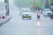 rain alert